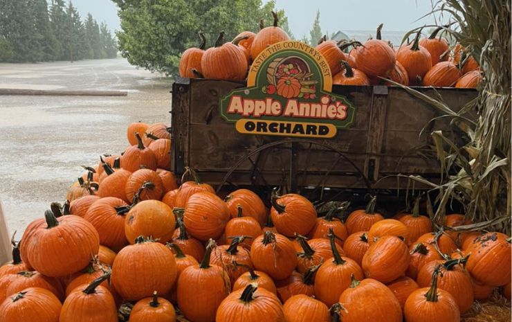 Apple Annie’s